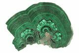 Polished Malachite Slab - DR Congo #264836-1